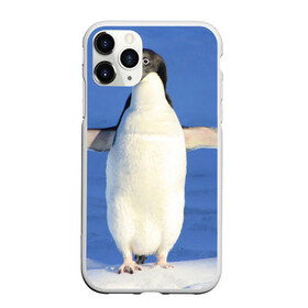 Чехол для iPhone 11 Pro матовый с принтом Пингвин в Екатеринбурге, Силикон |  | айсберг | антарктида | антарктика | арктика | буревестник | глупый | императорский | клюв | королевский | крылья | ласты | лёд | линукс | океан | пилигрим | полюс | птица | север | снег | умка | фрак