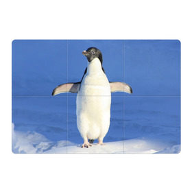 Магнитный плакат 3Х2 с принтом Пингвин в Екатеринбурге, Полимерный материал с магнитным слоем | 6 деталей размером 9*9 см | айсберг | антарктида | антарктика | арктика | буревестник | глупый | императорский | клюв | королевский | крылья | ласты | лёд | линукс | океан | пилигрим | полюс | птица | север | снег | умка | фрак