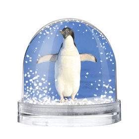 Снежный шар с принтом Пингвин в Екатеринбурге, Пластик | Изображение внутри шара печатается на глянцевой фотобумаге с двух сторон | айсберг | антарктида | антарктика | арктика | буревестник | глупый | императорский | клюв | королевский | крылья | ласты | лёд | линукс | океан | пилигрим | полюс | птица | север | снег | умка | фрак