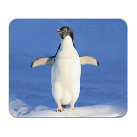 Коврик прямоугольный с принтом Пингвин в Екатеринбурге, натуральный каучук | размер 230 х 185 мм; запечатка лицевой стороны | айсберг | антарктида | антарктика | арктика | буревестник | глупый | императорский | клюв | королевский | крылья | ласты | лёд | линукс | океан | пилигрим | полюс | птица | север | снег | умка | фрак