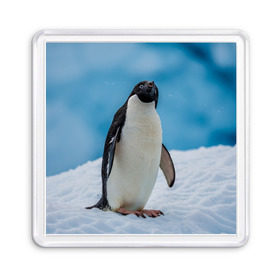 Магнит 55*55 с принтом Пингвин на айсберге в Екатеринбурге, Пластик | Размер: 65*65 мм; Размер печати: 55*55 мм | айсберг | антарктида | антарктика | арктика | буревестник | глупый | императорский | клюв | королевский | крылья | ласты | лёд | линукс | океан | пилигрим | полюс | птица | север | снег | умка | фрак