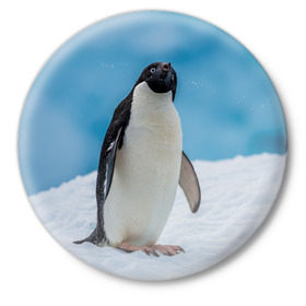Значок с принтом Пингвин на айсберге в Екатеринбурге,  металл | круглая форма, металлическая застежка в виде булавки | айсберг | антарктида | антарктика | арктика | буревестник | глупый | императорский | клюв | королевский | крылья | ласты | лёд | линукс | океан | пилигрим | полюс | птица | север | снег | умка | фрак