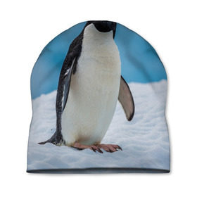 Шапка 3D с принтом Пингвин на айсберге в Екатеринбурге, 100% полиэстер | универсальный размер, печать по всей поверхности изделия | айсберг | антарктида | антарктика | арктика | буревестник | глупый | императорский | клюв | королевский | крылья | ласты | лёд | линукс | океан | пилигрим | полюс | птица | север | снег | умка | фрак