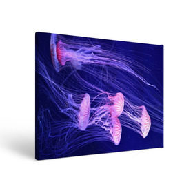 Холст прямоугольный с принтом Розовые медузы в Екатеринбурге, 100% ПВХ |  | Тематика изображения на принте: аквариум | вода | дайвинг | милые | море | океан | плывет | подводный мир | рыбалка | рыбка | рыбы | стая | фауна