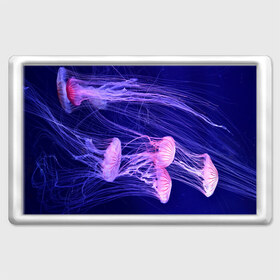 Магнит 45*70 с принтом Розовые медузы в Екатеринбурге, Пластик | Размер: 78*52 мм; Размер печати: 70*45 | Тематика изображения на принте: аквариум | вода | дайвинг | милые | море | океан | плывет | подводный мир | рыбалка | рыбка | рыбы | стая | фауна