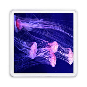 Магнит 55*55 с принтом Розовые медузы в Екатеринбурге, Пластик | Размер: 65*65 мм; Размер печати: 55*55 мм | Тематика изображения на принте: аквариум | вода | дайвинг | милые | море | океан | плывет | подводный мир | рыбалка | рыбка | рыбы | стая | фауна
