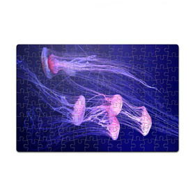 Пазл магнитный 126 элементов с принтом Розовые медузы в Екатеринбурге, полимерный материал с магнитным слоем | 126 деталей, размер изделия —  180*270 мм | аквариум | вода | дайвинг | милые | море | океан | плывет | подводный мир | рыбалка | рыбка | рыбы | стая | фауна