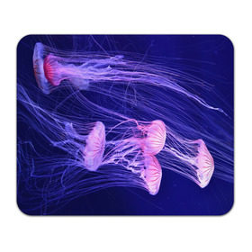 Коврик прямоугольный с принтом Розовые медузы в Екатеринбурге, натуральный каучук | размер 230 х 185 мм; запечатка лицевой стороны | Тематика изображения на принте: аквариум | вода | дайвинг | милые | море | океан | плывет | подводный мир | рыбалка | рыбка | рыбы | стая | фауна