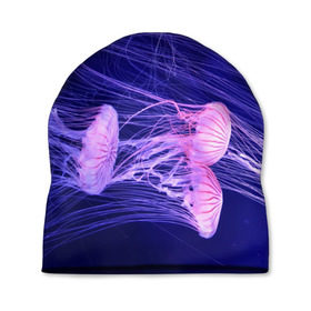 Шапка 3D с принтом Розовые медузы в Екатеринбурге, 100% полиэстер | универсальный размер, печать по всей поверхности изделия | аквариум | вода | дайвинг | милые | море | океан | плывет | подводный мир | рыбалка | рыбка | рыбы | стая | фауна