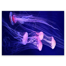 Поздравительная открытка с принтом Розовые медузы в Екатеринбурге, 100% бумага | плотность бумаги 280 г/м2, матовая, на обратной стороне линовка и место для марки
 | аквариум | вода | дайвинг | милые | море | океан | плывет | подводный мир | рыбалка | рыбка | рыбы | стая | фауна