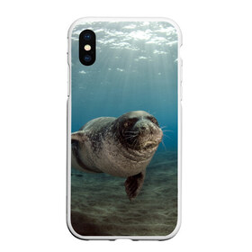 Чехол для iPhone XS Max матовый с принтом Тюлень под водой в Екатеринбурге, Силикон | Область печати: задняя сторона чехла, без боковых панелей | вода | дайвинг | жирный | косяк | красивые | милые | море | морская | морской котик | океан | плывет | подводный мир | прикольные | речная | рыба | рыбалка | стая | тюлень | усатый кот | фауна | чешуя