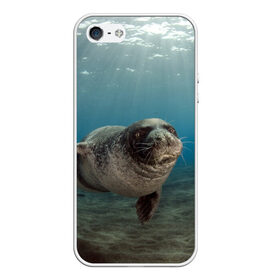 Чехол для iPhone 5/5S матовый с принтом Тюлень под водой в Екатеринбурге, Силикон | Область печати: задняя сторона чехла, без боковых панелей | вода | дайвинг | жирный | косяк | красивые | милые | море | морская | морской котик | океан | плывет | подводный мир | прикольные | речная | рыба | рыбалка | стая | тюлень | усатый кот | фауна | чешуя