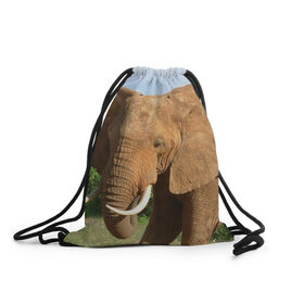 Рюкзак-мешок 3D с принтом Слон в Екатеринбурге, 100% полиэстер | плотность ткани — 200 г/м2, размер — 35 х 45 см; лямки — толстые шнурки, застежка на шнуровке, без карманов и подкладки | 