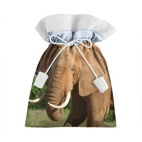 Подарочный 3D мешок с принтом Слон в Екатеринбурге, 100% полиэстер | Размер: 29*39 см | Тематика изображения на принте: 