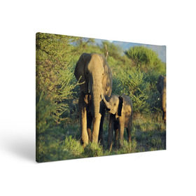 Холст прямоугольный с принтом Слониха и слоненок в природе в Екатеринбурге, 100% ПВХ |  | африка | африканский | бивни | большой | гигант джунгли | зоопарк | индийский | индия | лесной великан | мамонт | огромный | саванна | сафари | серый | слон | слоненок | слониха | стадо | уши | хобот