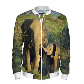 Мужской бомбер 3D с принтом Слониха и слоненок в природе в Екатеринбурге, 100% полиэстер | застегивается на молнию, по бокам два кармана без застежек, по низу бомбера и на воротнике - эластичная резинка | африка | африканский | бивни | большой | гигант джунгли | зоопарк | индийский | индия | лесной великан | мамонт | огромный | саванна | сафари | серый | слон | слоненок | слониха | стадо | уши | хобот