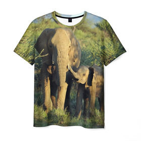 Мужская футболка 3D с принтом Слониха и слоненок в природе в Екатеринбурге, 100% полиэфир | прямой крой, круглый вырез горловины, длина до линии бедер | африка | африканский | бивни | большой | гигант джунгли | зоопарк | индийский | индия | лесной великан | мамонт | огромный | саванна | сафари | серый | слон | слоненок | слониха | стадо | уши | хобот