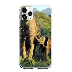 Чехол для iPhone 11 Pro матовый с принтом Слониха и слоненок в природе в Екатеринбурге, Силикон |  | Тематика изображения на принте: африка | африканский | бивни | большой | гигант джунгли | зоопарк | индийский | индия | лесной великан | мамонт | огромный | саванна | сафари | серый | слон | слоненок | слониха | стадо | уши | хобот