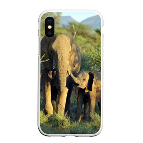 Чехол для iPhone XS Max матовый с принтом Слониха и слоненок в природе в Екатеринбурге, Силикон | Область печати: задняя сторона чехла, без боковых панелей | Тематика изображения на принте: африка | африканский | бивни | большой | гигант джунгли | зоопарк | индийский | индия | лесной великан | мамонт | огромный | саванна | сафари | серый | слон | слоненок | слониха | стадо | уши | хобот