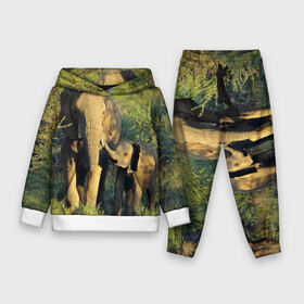 Детский костюм 3D (с толстовкой) с принтом Слониха и слоненок в природе в Екатеринбурге,  |  | Тематика изображения на принте: африка | африканский | бивни | большой | гигант джунгли | зоопарк | индийский | индия | лесной великан | мамонт | огромный | саванна | сафари | серый | слон | слоненок | слониха | стадо | уши | хобот