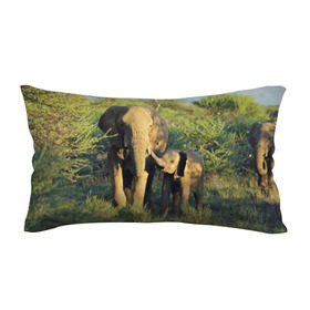 Подушка 3D антистресс с принтом Слониха и слоненок в природе в Екатеринбурге, наволочка — 100% полиэстер, наполнитель — вспененный полистирол | состоит из подушки и наволочки на молнии | африка | африканский | бивни | большой | гигант джунгли | зоопарк | индийский | индия | лесной великан | мамонт | огромный | саванна | сафари | серый | слон | слоненок | слониха | стадо | уши | хобот