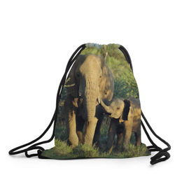 Рюкзак-мешок 3D с принтом Слониха и слоненок в природе в Екатеринбурге, 100% полиэстер | плотность ткани — 200 г/м2, размер — 35 х 45 см; лямки — толстые шнурки, застежка на шнуровке, без карманов и подкладки | африка | африканский | бивни | большой | гигант джунгли | зоопарк | индийский | индия | лесной великан | мамонт | огромный | саванна | сафари | серый | слон | слоненок | слониха | стадо | уши | хобот