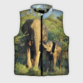 Мужской жилет утепленный 3D с принтом Слониха и слоненок в природе в Екатеринбурге,  |  | африка | африканский | бивни | большой | гигант джунгли | зоопарк | индийский | индия | лесной великан | мамонт | огромный | саванна | сафари | серый | слон | слоненок | слониха | стадо | уши | хобот