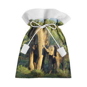 Подарочный 3D мешок с принтом Слониха и слоненок в природе в Екатеринбурге, 100% полиэстер | Размер: 29*39 см | африка | африканский | бивни | большой | гигант джунгли | зоопарк | индийский | индия | лесной великан | мамонт | огромный | саванна | сафари | серый | слон | слоненок | слониха | стадо | уши | хобот