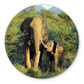 Коврик круглый с принтом Слониха и слоненок в природе в Екатеринбурге, резина и полиэстер | круглая форма, изображение наносится на всю лицевую часть | Тематика изображения на принте: африка | африканский | бивни | большой | гигант джунгли | зоопарк | индийский | индия | лесной великан | мамонт | огромный | саванна | сафари | серый | слон | слоненок | слониха | стадо | уши | хобот