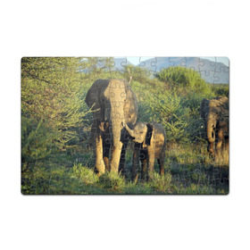 Пазл магнитный 126 элементов с принтом Слониха и слоненок в природе в Екатеринбурге, полимерный материал с магнитным слоем | 126 деталей, размер изделия —  180*270 мм | африка | африканский | бивни | большой | гигант джунгли | зоопарк | индийский | индия | лесной великан | мамонт | огромный | саванна | сафари | серый | слон | слоненок | слониха | стадо | уши | хобот
