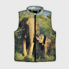 Женский жилет утепленный 3D с принтом Слониха и слоненок в природе в Екатеринбурге,  |  | африка | африканский | бивни | большой | гигант джунгли | зоопарк | индийский | индия | лесной великан | мамонт | огромный | саванна | сафари | серый | слон | слоненок | слониха | стадо | уши | хобот