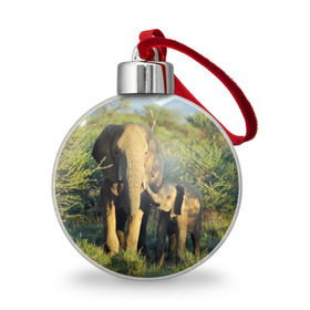 Ёлочный шар с принтом Слониха и слоненок в природе в Екатеринбурге, Пластик | Диаметр: 77 мм | Тематика изображения на принте: африка | африканский | бивни | большой | гигант джунгли | зоопарк | индийский | индия | лесной великан | мамонт | огромный | саванна | сафари | серый | слон | слоненок | слониха | стадо | уши | хобот