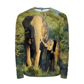 Мужской лонгслив 3D с принтом Слониха и слоненок в природе в Екатеринбурге, 100% полиэстер | длинные рукава, круглый вырез горловины, полуприлегающий силуэт | Тематика изображения на принте: африка | африканский | бивни | большой | гигант джунгли | зоопарк | индийский | индия | лесной великан | мамонт | огромный | саванна | сафари | серый | слон | слоненок | слониха | стадо | уши | хобот