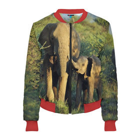Женский бомбер 3D с принтом Слониха и слоненок в природе в Екатеринбурге, 100% полиэстер | застегивается на молнию, по бокам два кармана без застежек, мягкие манжеты, по низу бомбера и на воротнике — эластичная резинка | африка | африканский | бивни | большой | гигант джунгли | зоопарк | индийский | индия | лесной великан | мамонт | огромный | саванна | сафари | серый | слон | слоненок | слониха | стадо | уши | хобот