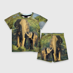 Детский костюм с шортами 3D с принтом Слониха и слоненок в природе в Екатеринбурге,  |  | Тематика изображения на принте: африка | африканский | бивни | большой | гигант джунгли | зоопарк | индийский | индия | лесной великан | мамонт | огромный | саванна | сафари | серый | слон | слоненок | слониха | стадо | уши | хобот