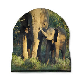 Шапка 3D с принтом Слониха и слоненок в природе в Екатеринбурге, 100% полиэстер | универсальный размер, печать по всей поверхности изделия | Тематика изображения на принте: африка | африканский | бивни | большой | гигант джунгли | зоопарк | индийский | индия | лесной великан | мамонт | огромный | саванна | сафари | серый | слон | слоненок | слониха | стадо | уши | хобот