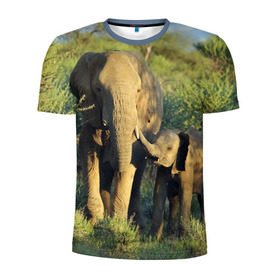 Мужская футболка 3D спортивная с принтом Слониха и слоненок в природе в Екатеринбурге, 100% полиэстер с улучшенными характеристиками | приталенный силуэт, круглая горловина, широкие плечи, сужается к линии бедра | Тематика изображения на принте: африка | африканский | бивни | большой | гигант джунгли | зоопарк | индийский | индия | лесной великан | мамонт | огромный | саванна | сафари | серый | слон | слоненок | слониха | стадо | уши | хобот