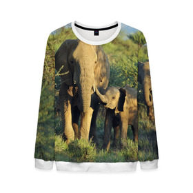 Мужской свитшот 3D с принтом Слониха и слоненок в природе в Екатеринбурге, 100% полиэстер с мягким внутренним слоем | круглый вырез горловины, мягкая резинка на манжетах и поясе, свободная посадка по фигуре | африка | африканский | бивни | большой | гигант джунгли | зоопарк | индийский | индия | лесной великан | мамонт | огромный | саванна | сафари | серый | слон | слоненок | слониха | стадо | уши | хобот