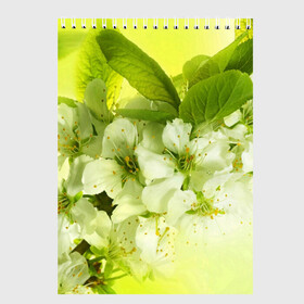 Скетчбук с принтом Цветы яблони в Екатеринбурге, 100% бумага
 | 48 листов, плотность листов — 100 г/м2, плотность картонной обложки — 250 г/м2. Листы скреплены сверху удобной пружинной спиралью | Тематика изображения на принте: белый | весна | дерево | зеленый | природа | растения | цветы | яблоня