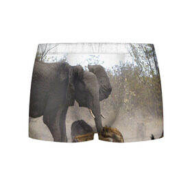 Мужские трусы 3D с принтом Гиены охотятся на слона в Екатеринбурге, 50% хлопок, 50% полиэстер | классическая посадка, на поясе мягкая тканевая резинка | африка | африканский | бивни | большой | гигант джунгли | гиены | индийский | индия | лесной великан | мамонт | огромный | охота | саванна | сафари | серый | слон | слониха | стадо | уши | хобот