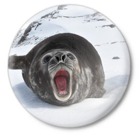 Значок с принтом Морской котик в Екатеринбурге,  металл | круглая форма, металлическая застежка в виде булавки | антарктида | антарктика | большой | вода | гигант | жир | кот | котик | ледовитый | море | мороз | морской | нос | огромный | океан | пасть | север | серый | слониха | снег | тюлень | усы | холод | язык