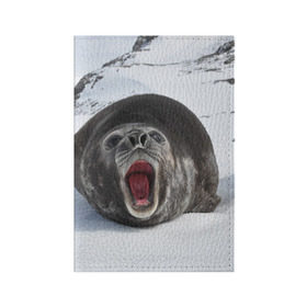 Обложка для паспорта матовая кожа с принтом Морской котик в Екатеринбурге, натуральная матовая кожа | размер 19,3 х 13,7 см; прозрачные пластиковые крепления | антарктида | антарктика | большой | вода | гигант | жир | кот | котик | ледовитый | море | мороз | морской | нос | огромный | океан | пасть | север | серый | слониха | снег | тюлень | усы | холод | язык