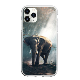 Чехол для iPhone 11 Pro Max матовый с принтом Слон в лесу в Екатеринбурге, Силикон |  | африка | африканский | бивни | большой | гигант джунгли | зоопарк | индийский | индия | лесной великан | мамонт | огромный | саванна | сафари | серый | слон | слоненок | слониха | стадо | уши | хобот