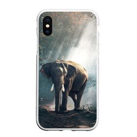 Чехол для iPhone XS Max матовый с принтом Слон в лесу в Екатеринбурге, Силикон | Область печати: задняя сторона чехла, без боковых панелей | Тематика изображения на принте: африка | африканский | бивни | большой | гигант джунгли | зоопарк | индийский | индия | лесной великан | мамонт | огромный | саванна | сафари | серый | слон | слоненок | слониха | стадо | уши | хобот