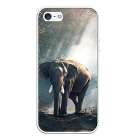 Чехол для iPhone 5/5S матовый с принтом Слон в лесу в Екатеринбурге, Силикон | Область печати: задняя сторона чехла, без боковых панелей | африка | африканский | бивни | большой | гигант джунгли | зоопарк | индийский | индия | лесной великан | мамонт | огромный | саванна | сафари | серый | слон | слоненок | слониха | стадо | уши | хобот