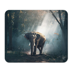 Коврик прямоугольный с принтом Слон в лесу в Екатеринбурге, натуральный каучук | размер 230 х 185 мм; запечатка лицевой стороны | африка | африканский | бивни | большой | гигант джунгли | зоопарк | индийский | индия | лесной великан | мамонт | огромный | саванна | сафари | серый | слон | слоненок | слониха | стадо | уши | хобот