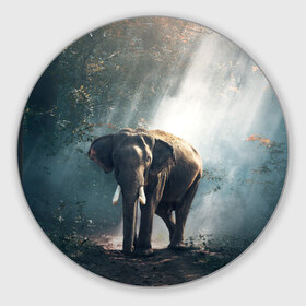 Коврик круглый с принтом Слон в лесу в Екатеринбурге, резина и полиэстер | круглая форма, изображение наносится на всю лицевую часть | африка | африканский | бивни | большой | гигант джунгли | зоопарк | индийский | индия | лесной великан | мамонт | огромный | саванна | сафари | серый | слон | слоненок | слониха | стадо | уши | хобот