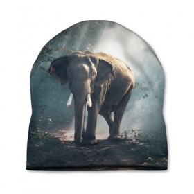 Шапка 3D с принтом Слон в лесу в Екатеринбурге, 100% полиэстер | универсальный размер, печать по всей поверхности изделия | африка | африканский | бивни | большой | гигант джунгли | зоопарк | индийский | индия | лесной великан | мамонт | огромный | саванна | сафари | серый | слон | слоненок | слониха | стадо | уши | хобот