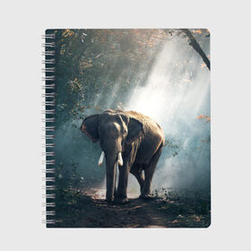 Тетрадь с принтом Слон в лесу в Екатеринбурге, 100% бумага | 48 листов, плотность листов — 60 г/м2, плотность картонной обложки — 250 г/м2. Листы скреплены сбоку удобной пружинной спиралью. Уголки страниц и обложки скругленные. Цвет линий — светло-серый
 | африка | африканский | бивни | большой | гигант джунгли | зоопарк | индийский | индия | лесной великан | мамонт | огромный | саванна | сафари | серый | слон | слоненок | слониха | стадо | уши | хобот