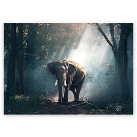 Поздравительная открытка с принтом Слон в лесу в Екатеринбурге, 100% бумага | плотность бумаги 280 г/м2, матовая, на обратной стороне линовка и место для марки
 | африка | африканский | бивни | большой | гигант джунгли | зоопарк | индийский | индия | лесной великан | мамонт | огромный | саванна | сафари | серый | слон | слоненок | слониха | стадо | уши | хобот